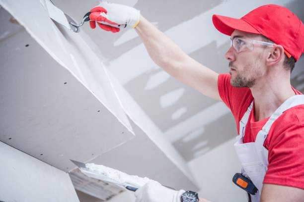 Best Ceiling Drywall Installation  in Nixa, MO